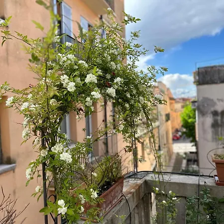 Il Nido Di Emma A Apartamento