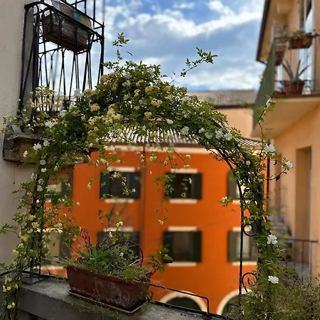 Il Nido Di Emma A *